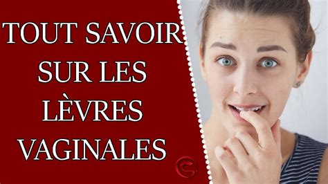 Cest quoi les grandes lèvres vaginales chez la femme